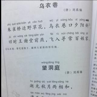 乌衣巷 望洞庭