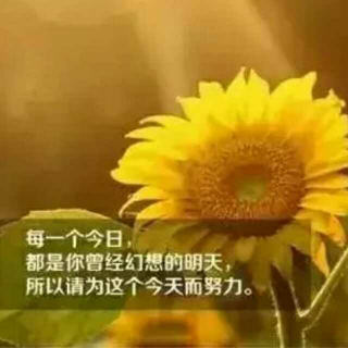 致每一个为今天努力的你