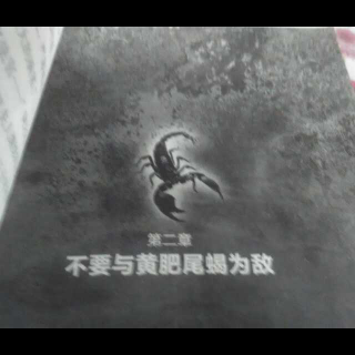 《不要与黄肥尾蝎为敌》