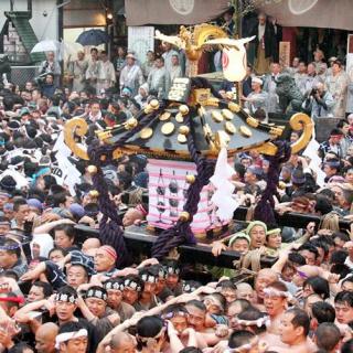 当地人讲日本第12期：浅草三社祭--体验最夯日本文化