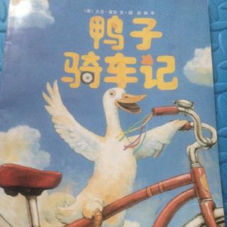 【故事55】《鸭子骑车记》