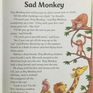 【听故事学英语】《Sad Monkey 伤心的猴子》