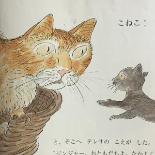 ねこのジンジャー（大猫Ginger）