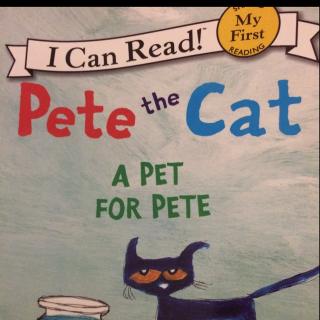 Pete the cat-A pet for pete