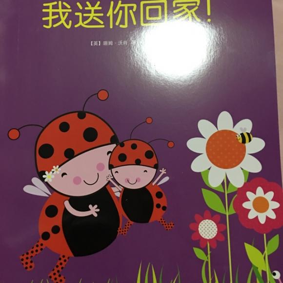 我送你回家