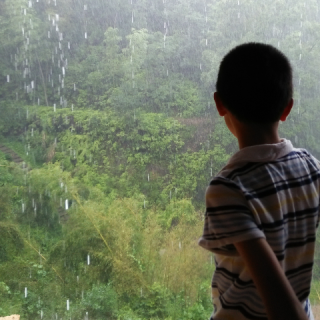 《秋雨，总让人沉醉》鲁先圣☆何嘉仪☆