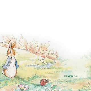 彼得兔经典故事🍓小兔彼得[下]🍓cool有声绘本008期