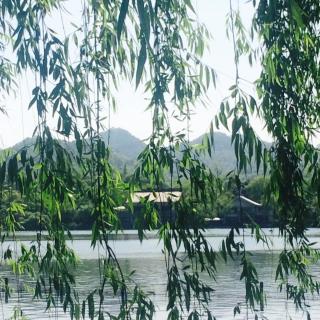 #声音旅行# 忆杭州的山