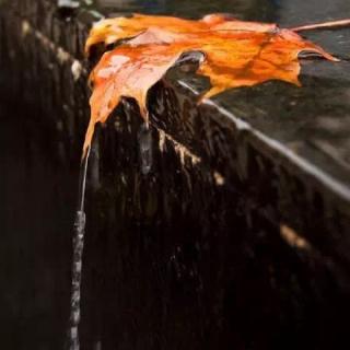 秋雨，是一夜流泪的诗