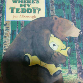 Where's My Teddy?