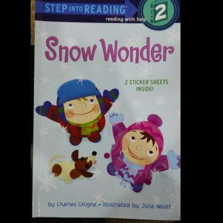 Snow  Wonder