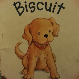 I can read_biscuit