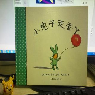 小兔子走丢了