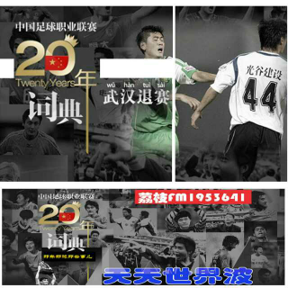 中国足球职业联赛词典20年【武汉退赛】