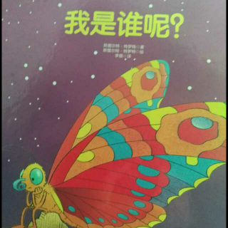 我们读绘本 《我是谁呢？》 中文绘本
