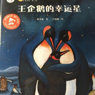 绘本故事《王企鹅的幸运星》