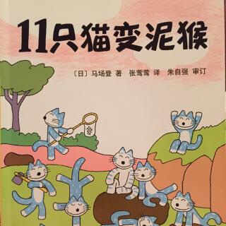 《11只猫变泥猴》