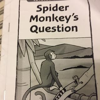 Spider monkey's question2