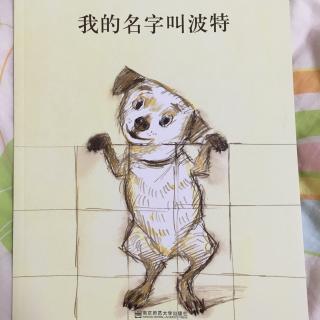 我的名字叫波特