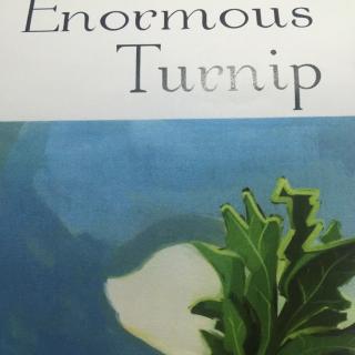 The enormous turnip