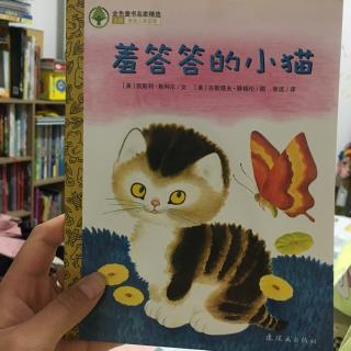 金色童年系列之～羞答答的小猫