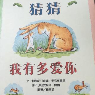 猜猜我有多爱你