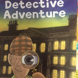 Detective adventure