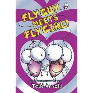 Fly Guy Meets Fly Girl