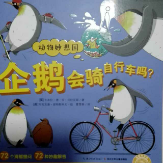 动物妙想国，企鹅会骑自行车吗？