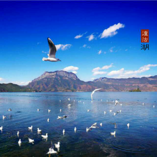 #国庆特别节目#——泸沽湖