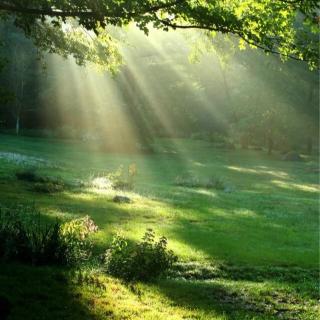 A Morning In Cornwall