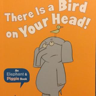 小猪小象系列之There Is a Bird on Your Head.