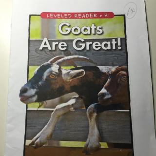 goats are great