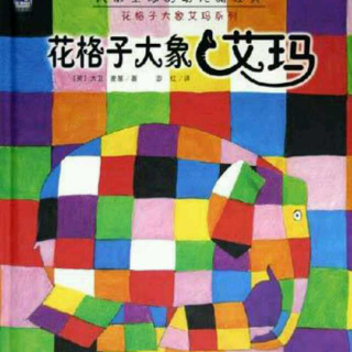 【故事167】花格子大象艾玛