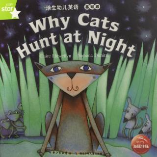 Meredith晚安英文之Why Cats Hunt at Night？