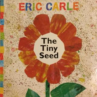 The Tiny Seed