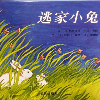 逃家小兔-小璇老师