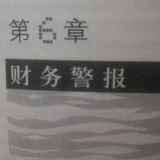 第六章  财务警报