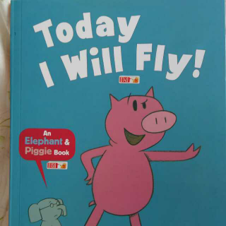 today i will fly