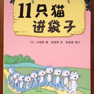 《11只猫进袋子》