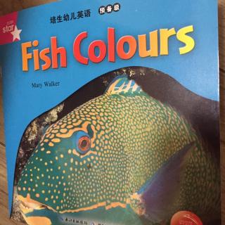 日有所诵一年级🔫fish colours