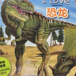 Momo妈妈讲故事 I love 恐龙