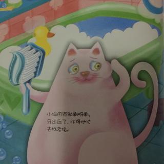 小猫刷牙 聪明的小鸭子