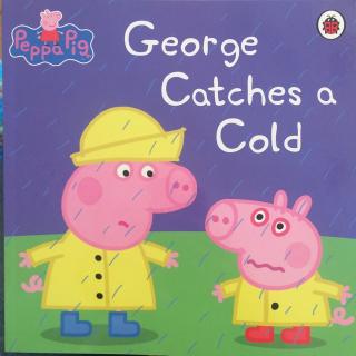 粉猪系列之George Catches a Cold