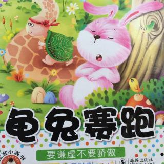 🐢🐰赛跑