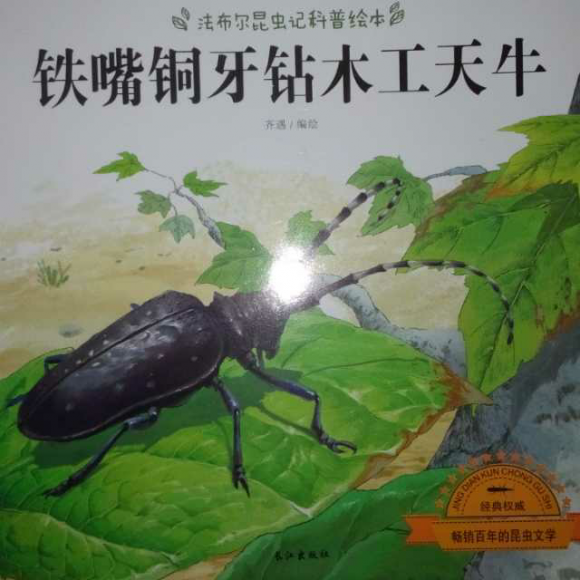 钻木工天牛(法布尔昆虫记科普绘本)】在线收听