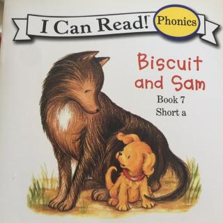 Biscuit and Sam 0-3岁英语启蒙