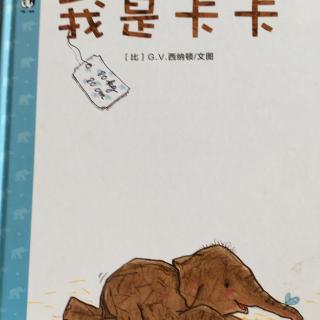 我是卡卡