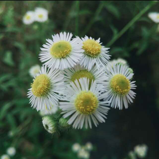 第二十一期 《你怎么总是忍不住发朋友圈》