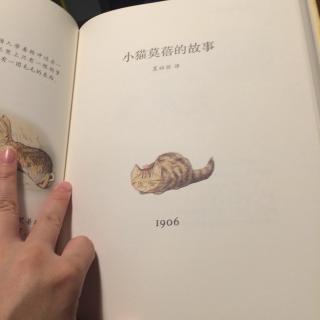 小猫莫蓓的故事